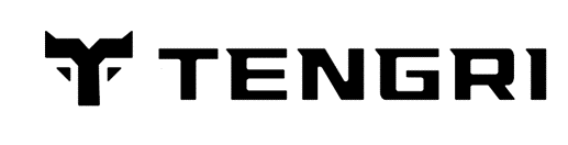 Tengri Tyres логотипі